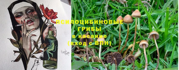 мескалин Михайловка