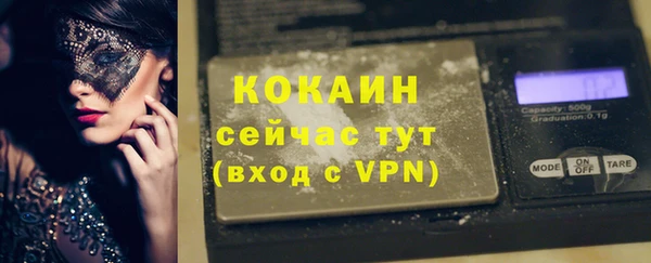 прущие грибы Михайлов