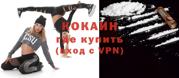 прущие грибы Михайлов