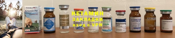 прущие грибы Михайлов