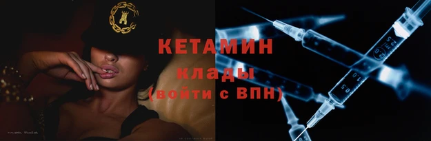 прущие грибы Михайлов