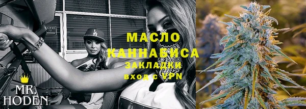 прущие грибы Михайлов