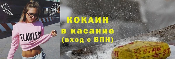 прущие грибы Михайлов