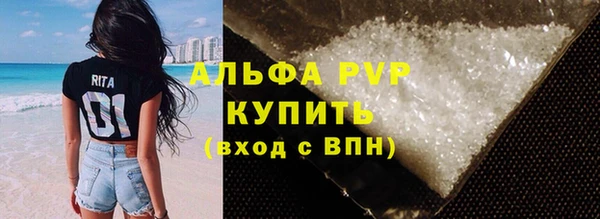прущие грибы Михайлов